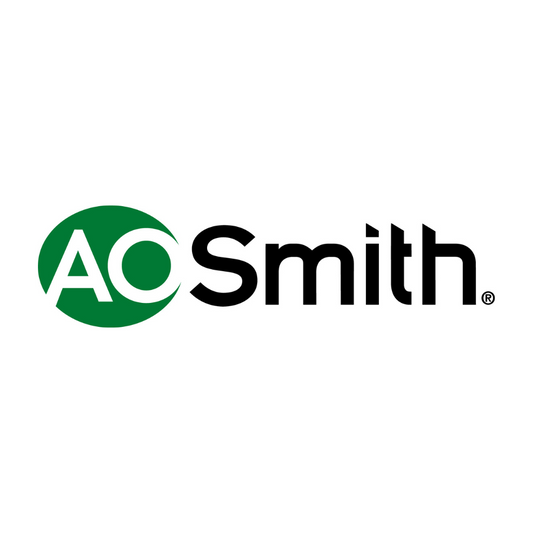 Lochinvar & A.O. Smith 100289438 GASKET SET
