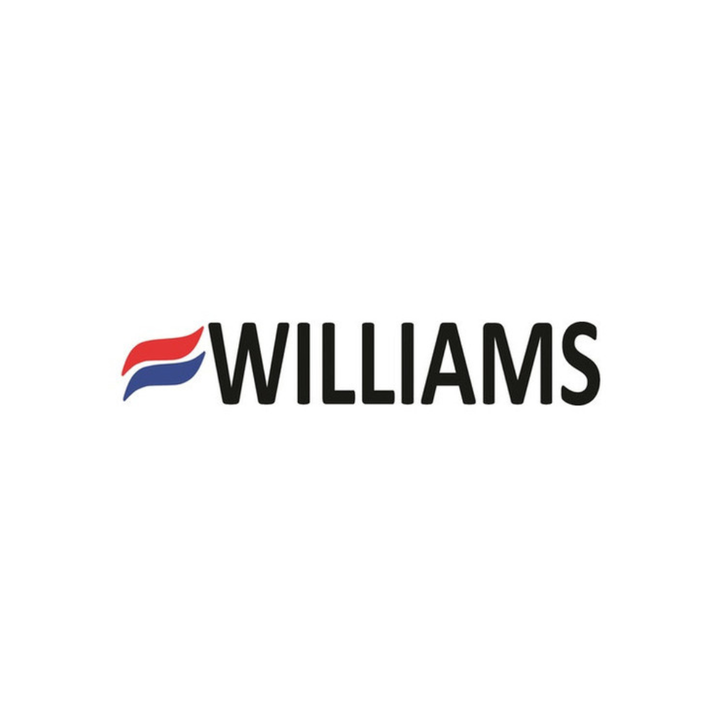 Williams Comfort Products P323649 Burner